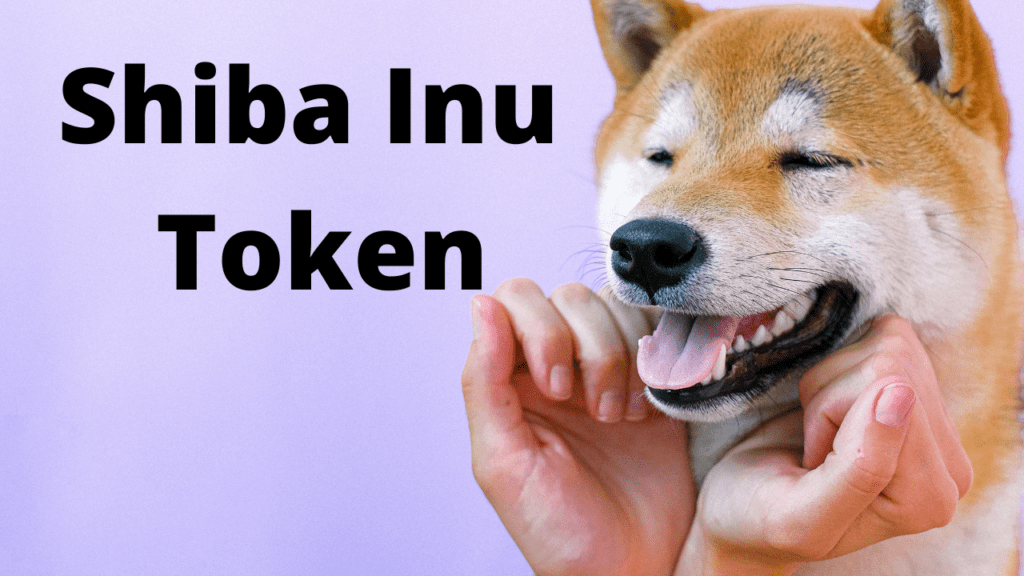 Shiba Inu Token Review - Is it a Dogecoin Killer?