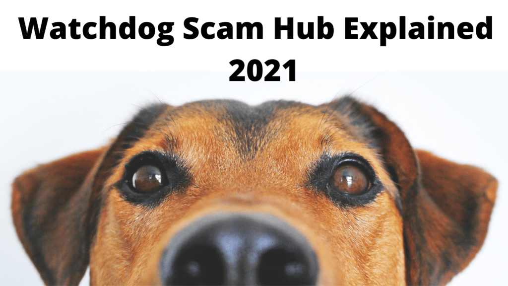 Watchdog Scam Hub Explained 2021