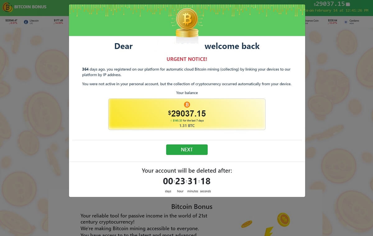 Bitcoin Bonus Scam - Screenshot of free-gamms.site